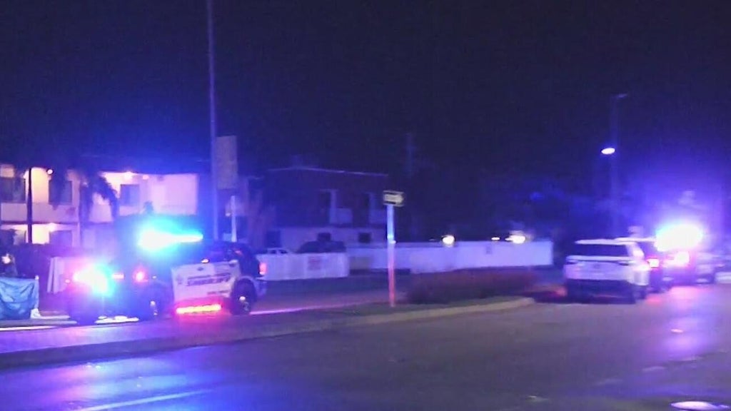 Woman accused of killing man in Dania Beach hit-and-run, BSO says — CBS Miami, Sunnyvale Community news