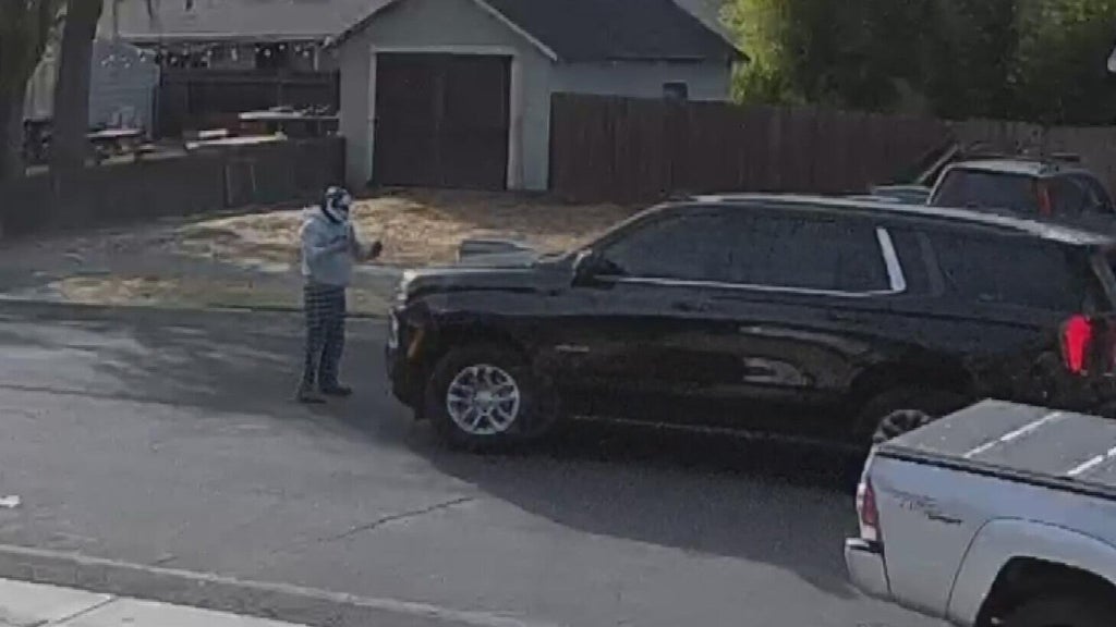 Woodland police dispute DHS account of ICE agent's collision with pedestrian — CBS Bay Area (KPIX), Sunnyvale Health news