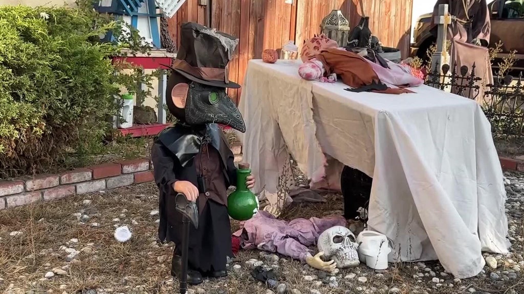 Halloween decorations worth roughly $700 stolen from San Leandro home — CBS Bay Area (KPIX), Sunnyvale Schools news