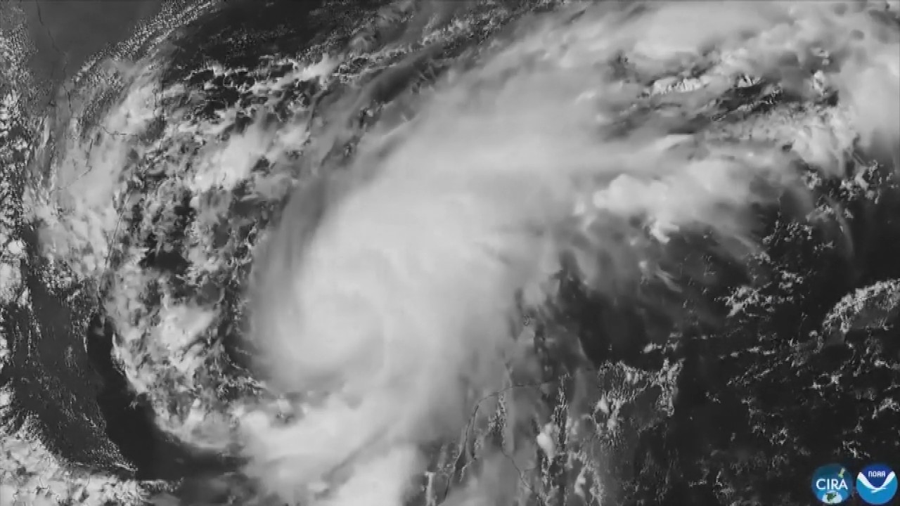 Hurricane Isaias: Residents board up windows and National Guard troops deploy as storm nears US Gulf Coast
— ABC 7 Bay Area, Sunnyvale Sports news