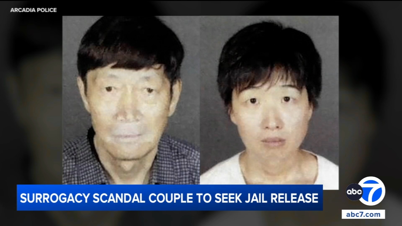 California couple accused in surrogacy scandal to seek release from jail, attorneys say
       — ABC 7 Bay Area, Sunnyvale Community news