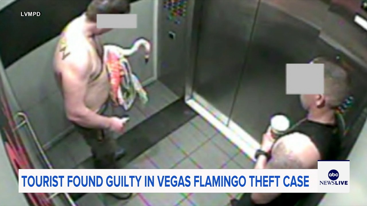 Man who snatched Peachy the flamingo from Las Vegas hotel exhibit found guilty of animal cruelty
— ABC 7 Bay Area, Sunnyvale Arts news