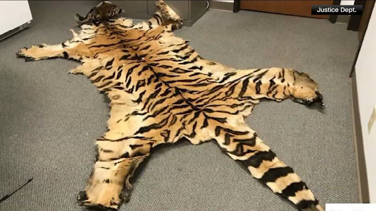 California couple pleads guilty to trafficking wildlife
— Sunnyvale Community news