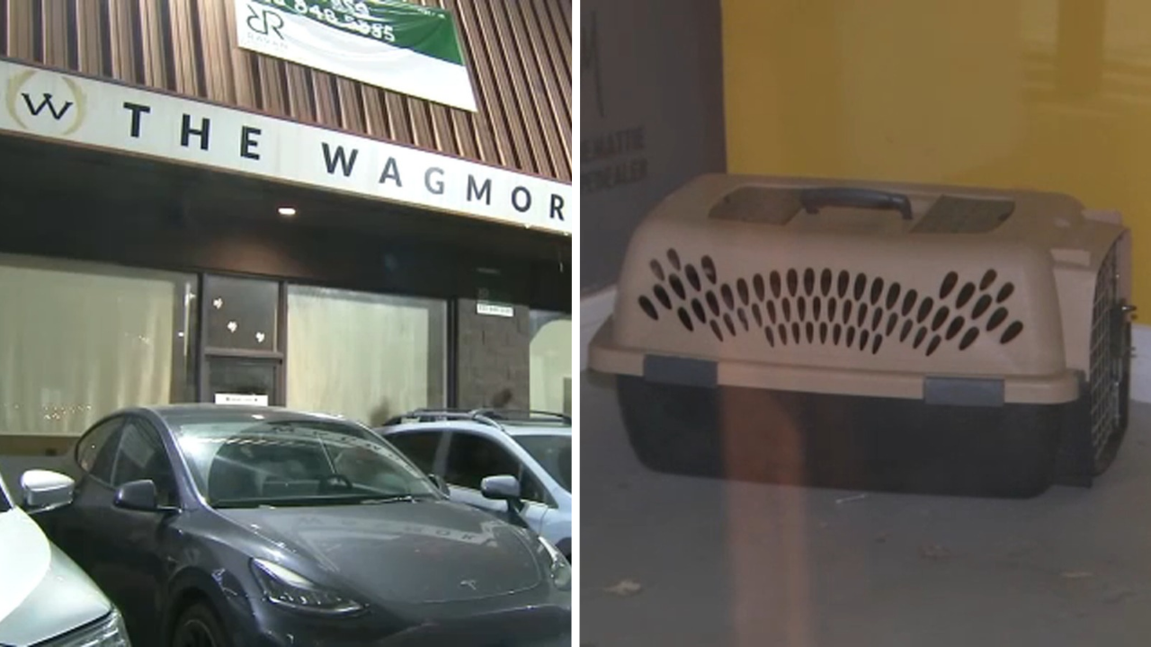 Lawsuit accuses Los Angeles animal rescue of running puppy laundering operation
— Sunnyvale Community news