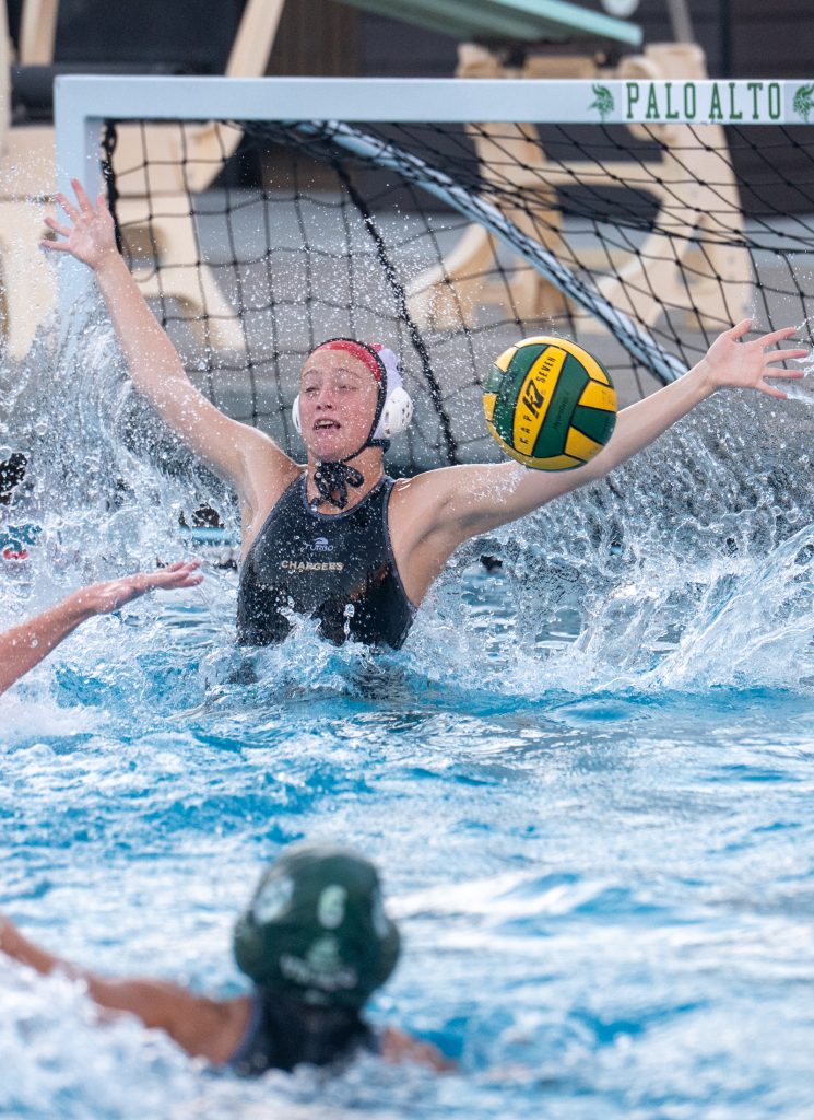 Wilcox Water Polo Caught in Vikings Rip Current — Silicon Valley Voice, Sunnyvale Sports news