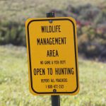 Pointers for Public Land Hunting — NewsDakota, Sunnyvale Sports news