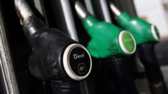 Fuel costs squeezing margins for some businesses — BBC Business, Sunnyvale Business news