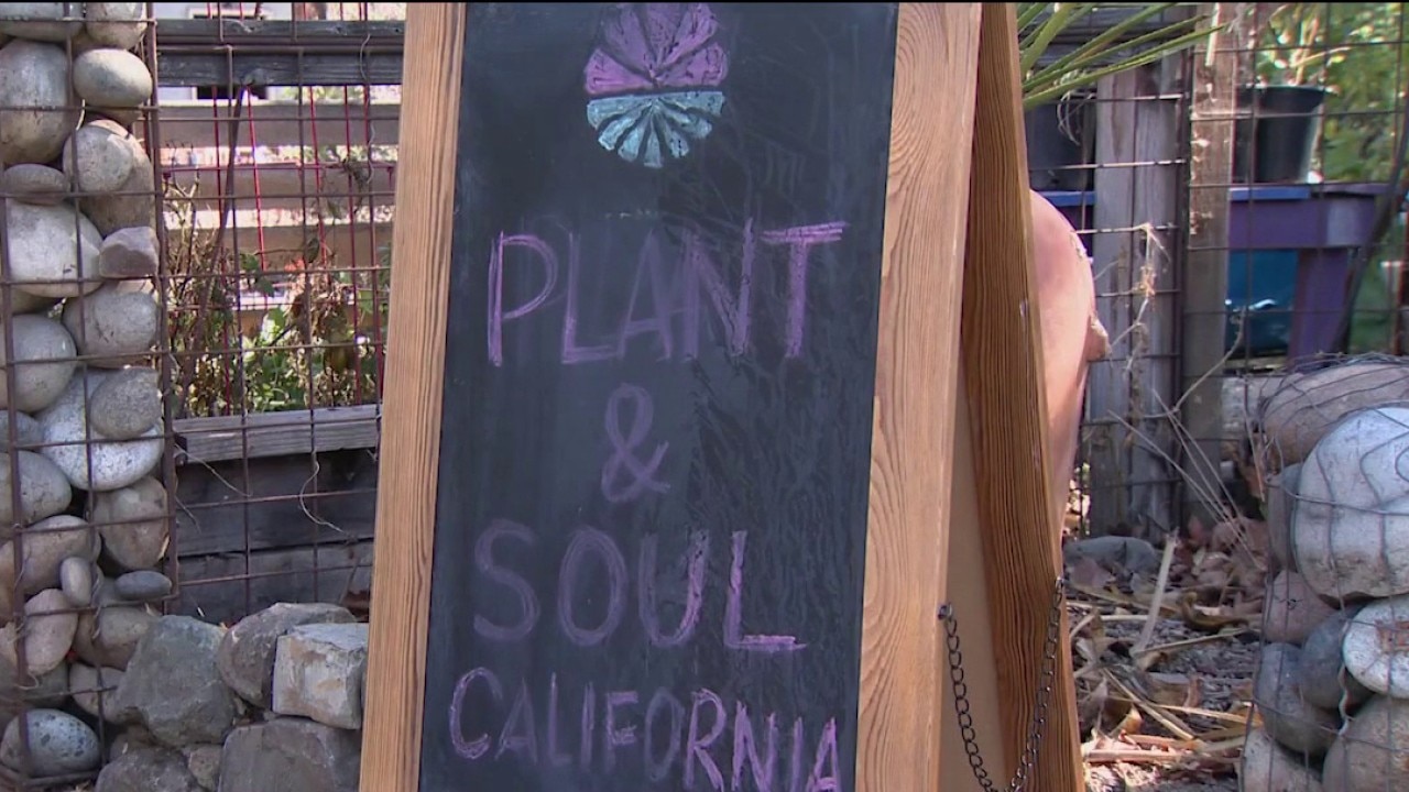 San Jose community garden faces possible eviction — KTVU FOX 2 Bay Area, Sunnyvale Schools news