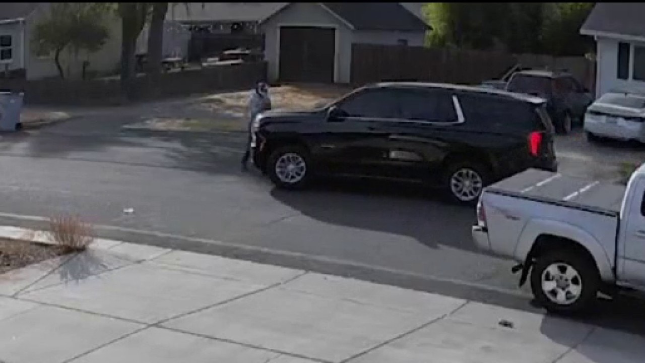 Pedestrian hit by federal immigration agent's vehicle in Yolo County — KTVU FOX 2 Bay Area, Sunnyvale Community news