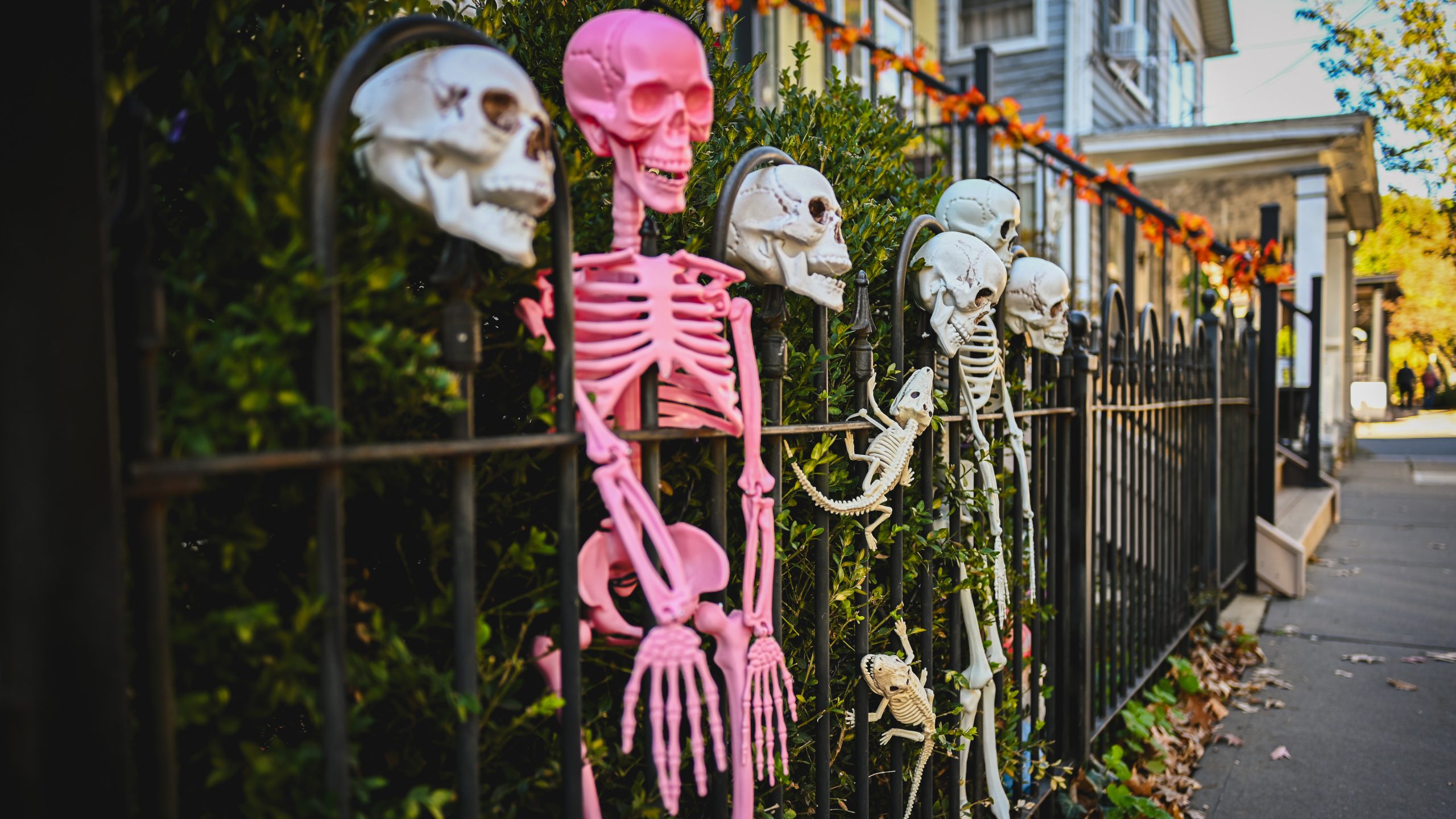 America's best cities for Halloween, ranked — KTVU FOX 2 Bay Area, Sunnyvale Community news